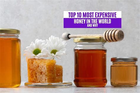 What country has the most expensive honey?