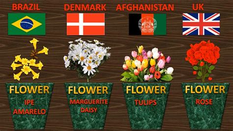 What country is known for flowers?