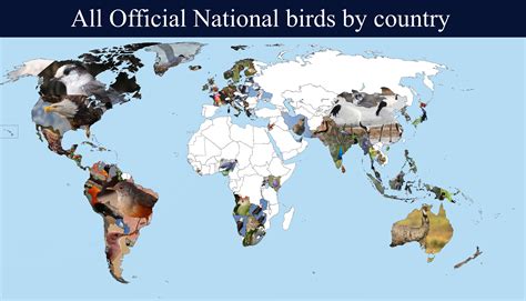 What country is named after a bird?