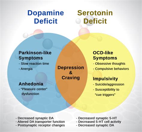 What decreases dopamine?