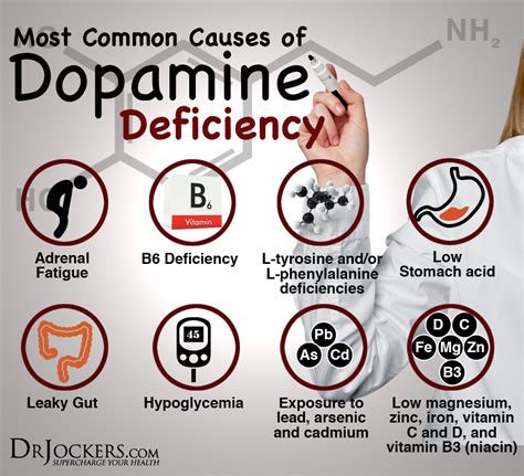 What decreases dopamine the most?