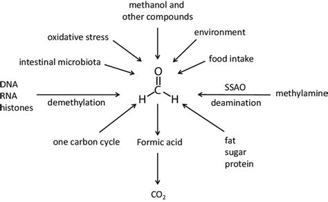 What degrades formaldehyde?