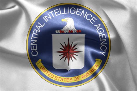 What degree is best for CIA?
