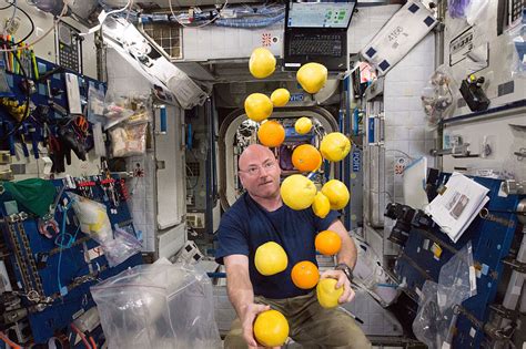 What desserts can astronauts eat?