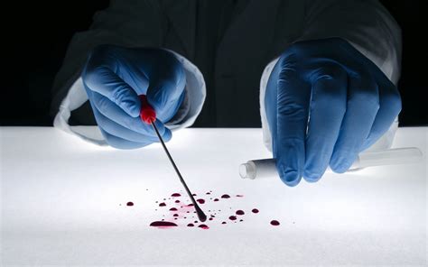 What destroys blood evidence?