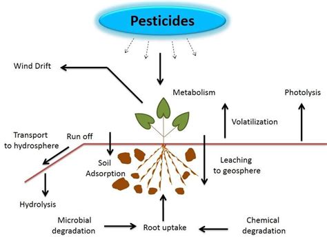 What destroys chemical pesticides in soil?