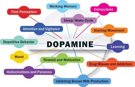 What destroys dopamine receptors?