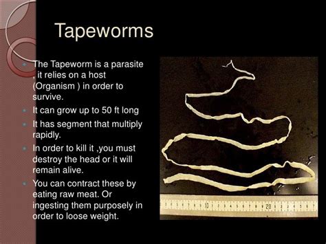 What destroys tapeworms?