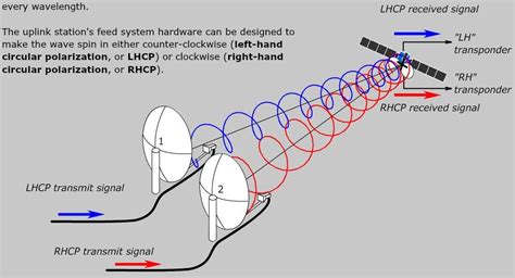 What determines antenna polarization?