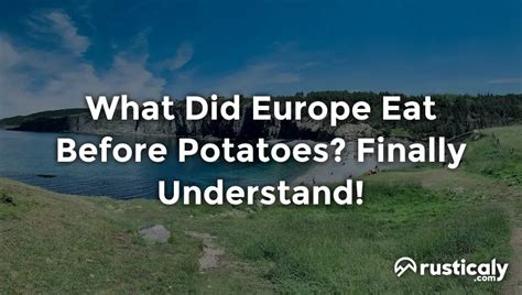 What did Europeans eat before potatoes?