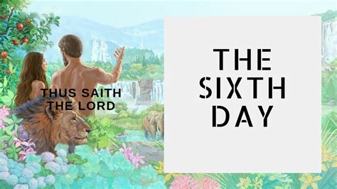 What did God do on the 5th and 6th day?