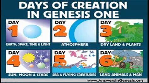 What did God say on the 6 day?