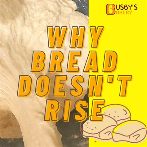 What did I do wrong if my bread didn't rise?