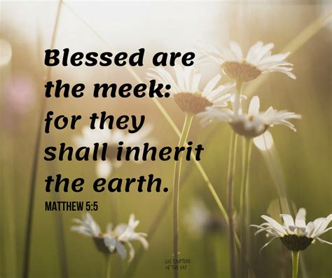 What did Jesus mean by Meek in Matthew 5 5?