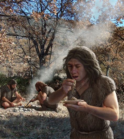 What did Neanderthals cook?
