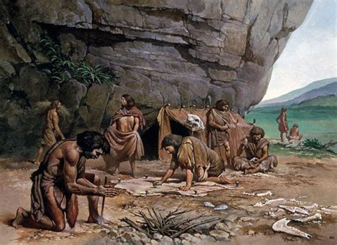 What did Paleolithic humans do?