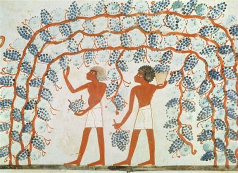 What did grapes symbolize in ancient Egypt?