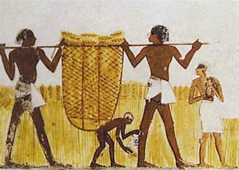 What did peasants eat in Egypt?