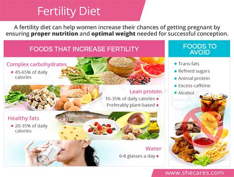 What diet makes you fertile?