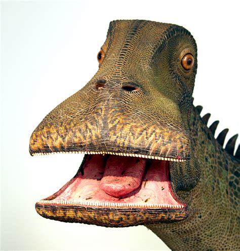 What dinosaur has 0 teeth?