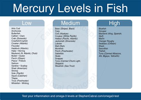 What dish has the least mercury?