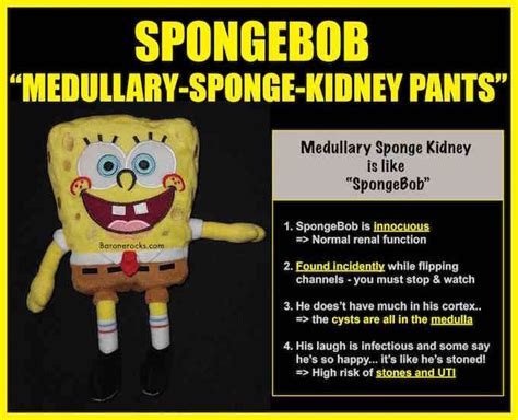 What disorder does SpongeBob have?