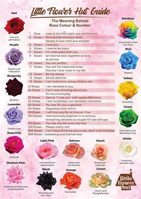 What do 100 roses mean?