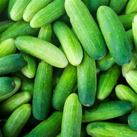 What do Americans call cucumber?