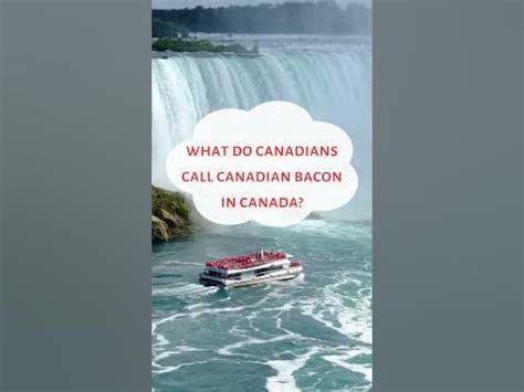What do Canadians call their lover?