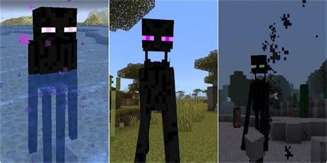 What do Endermen fear?