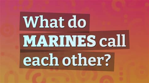 What do Marines call their girlfriends?