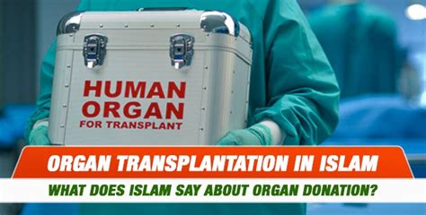 What do Muslims say about organ donation?