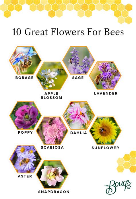 What do bees love most?