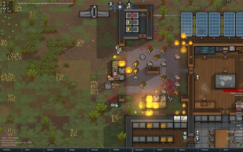 What do cats do in RimWorld?