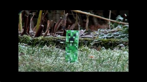 What do creepers not like?