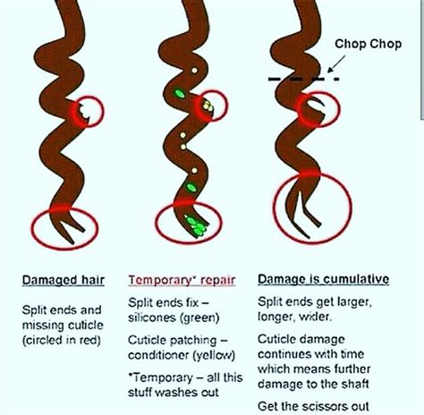 What do curly dead ends look like?