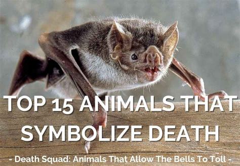 What do dead animals symbolize?