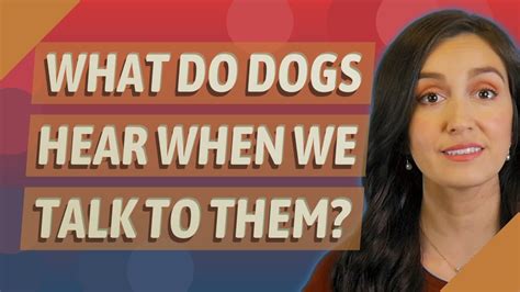 What do dogs hear when you talk to them?