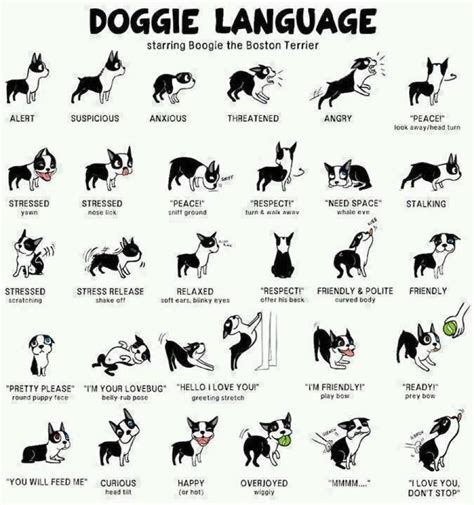 What do dogs say in Russian?