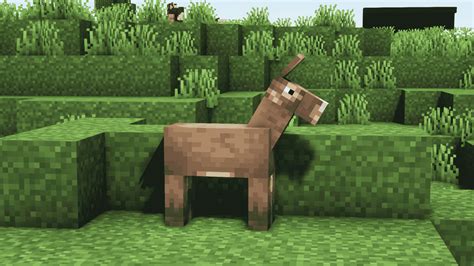 What do donkeys eat in Minecraft?