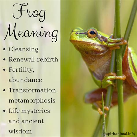What do frogs symbolize?