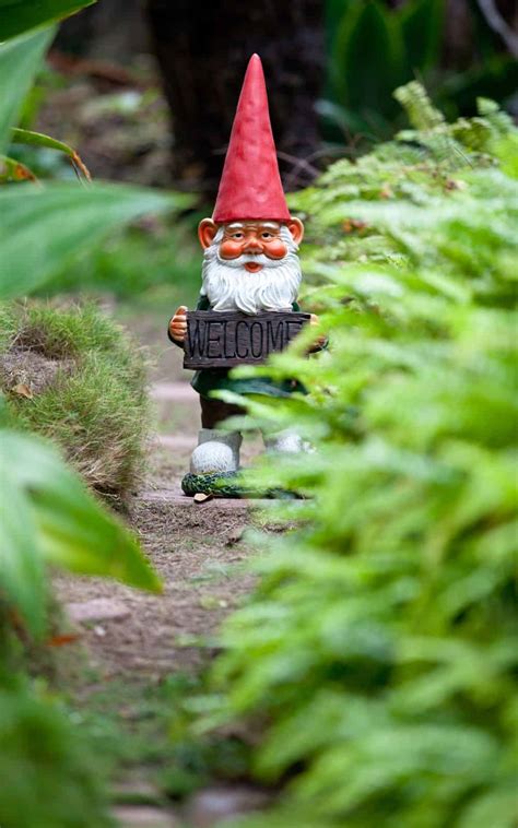 What do gnomes do all day?