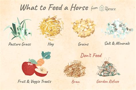 What do horses eat most?