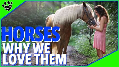 What do horses love the most?