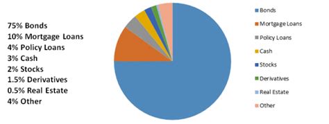 What do insurance companies invest in?