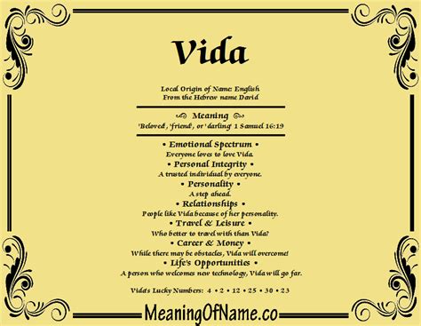 What do mi Vida mean?