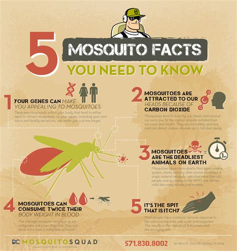 What do mosquitoes fear the most?