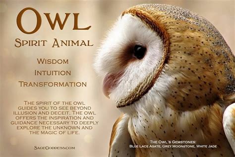 What do owls do spiritually?