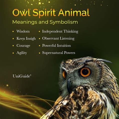 What do owls symbolize?