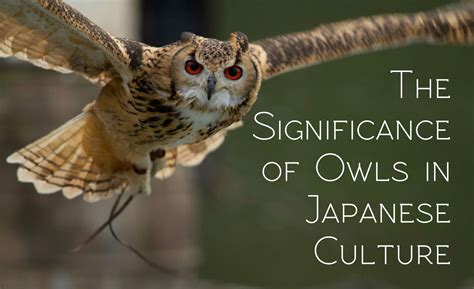 What do owls symbolize in Japan?